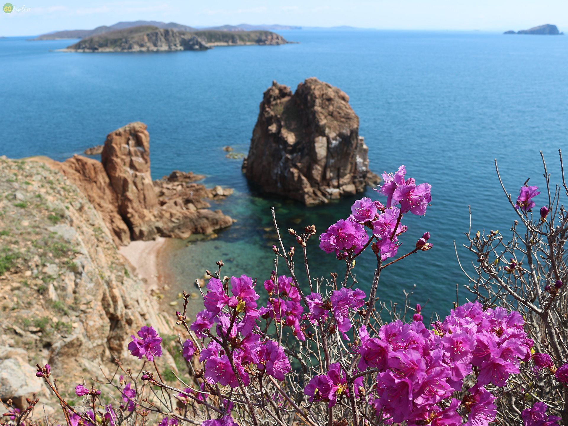 Приморье краски цветения