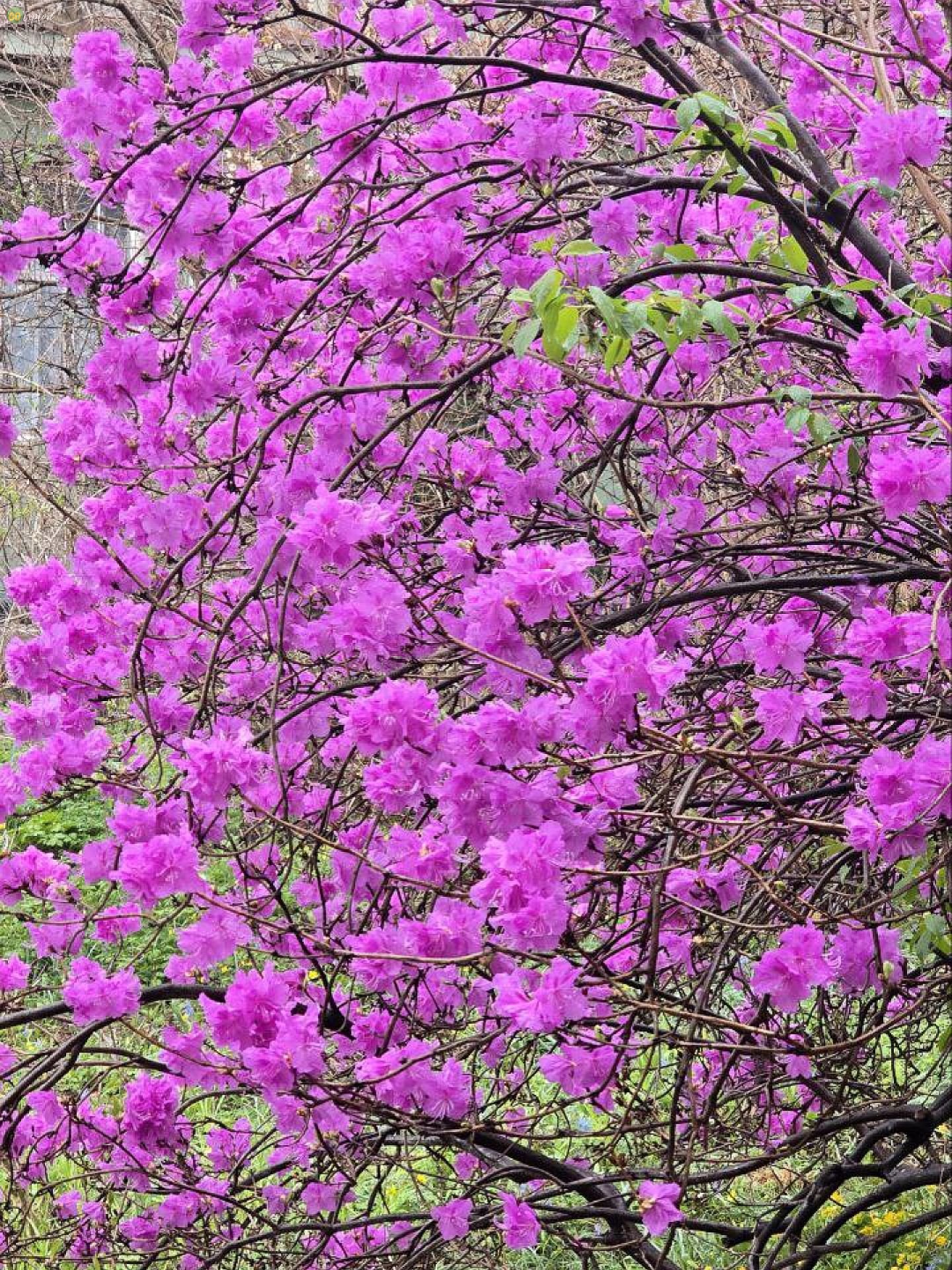 68178580f33b9_photo_2025-05-05_01-18-46