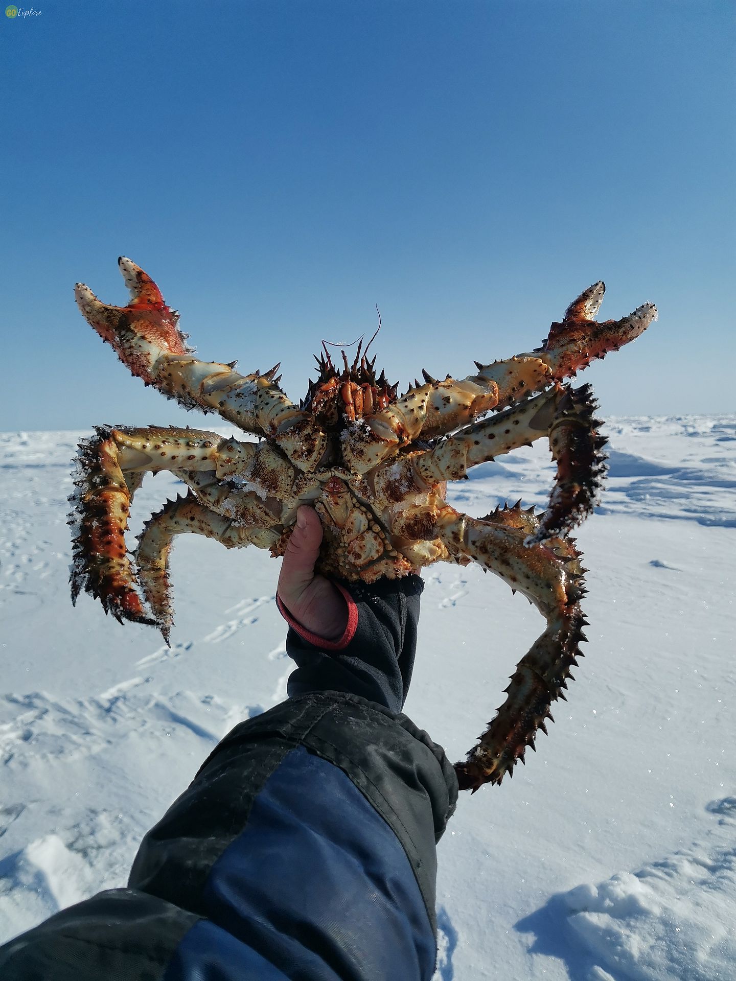 644b7f6ab1392_1645655464176532716