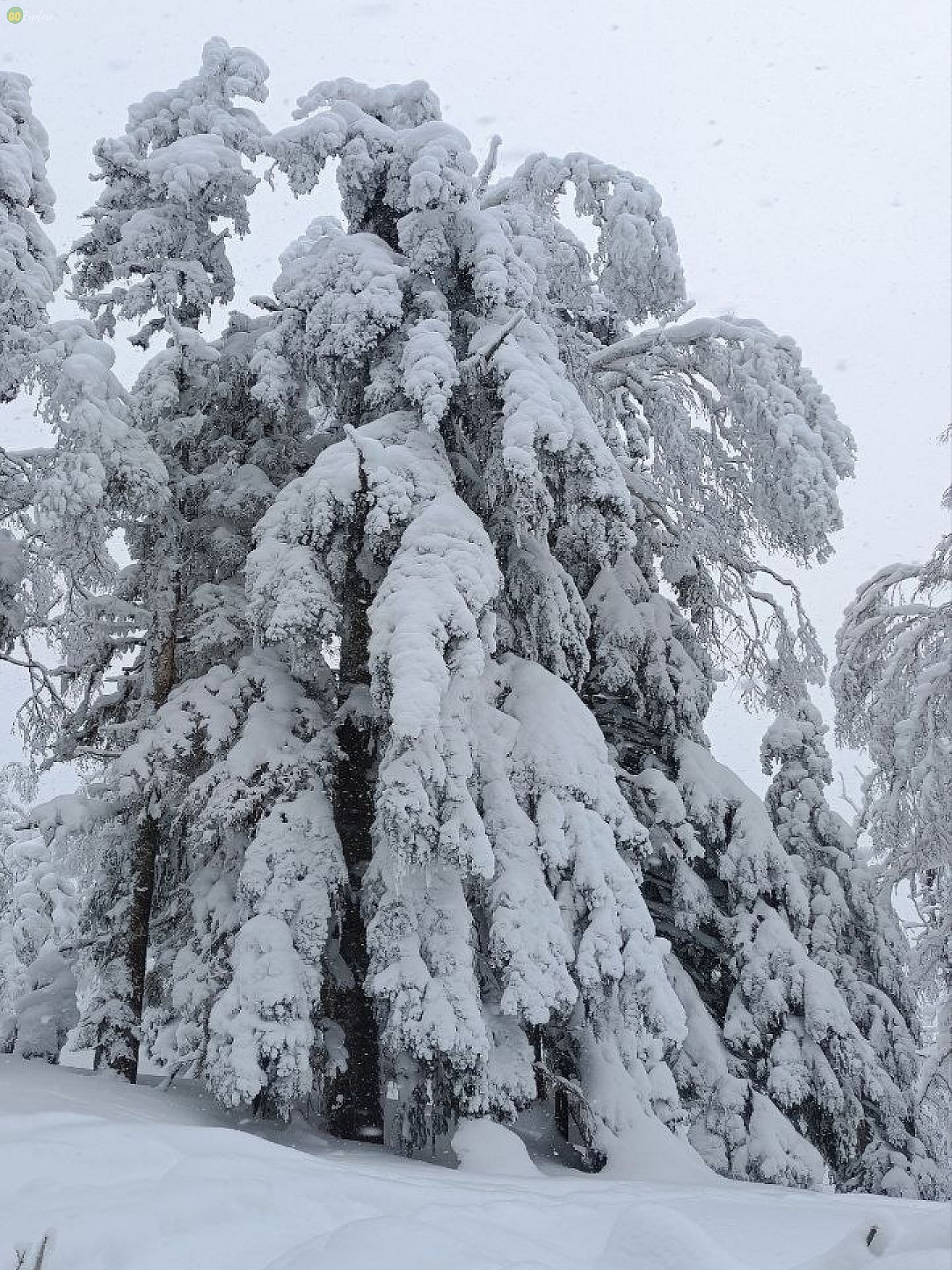 644b81ae24331_photo_2023-04-26_12-09-57 (2)