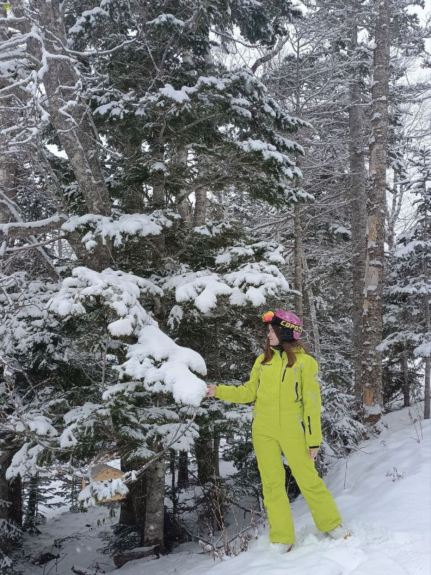 644b73b6b289d_photo_2023-04-26_12-19-36