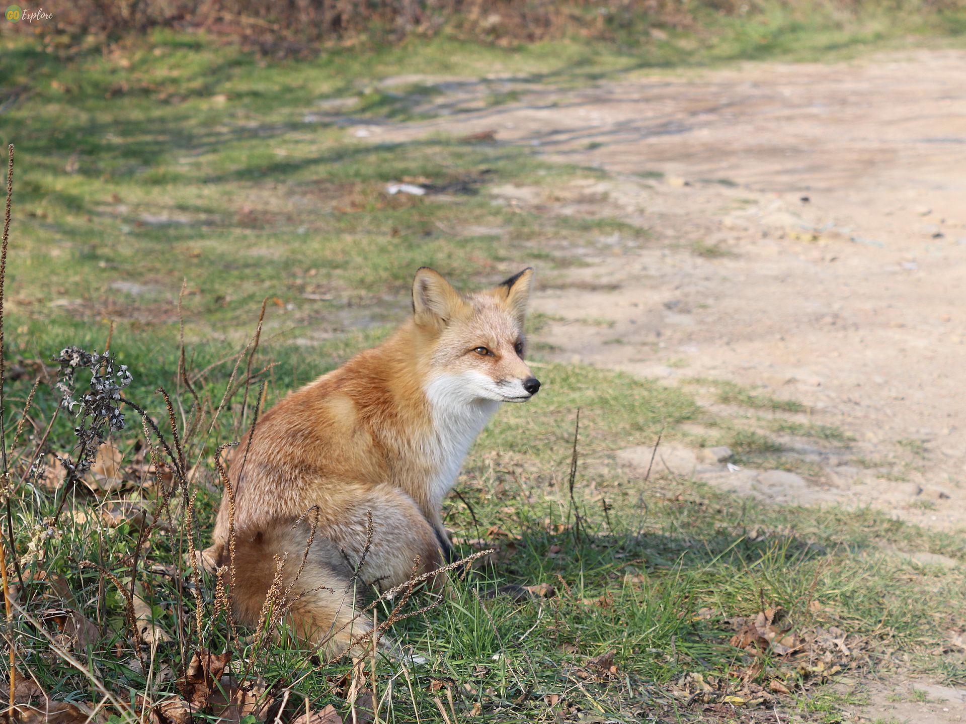 6441f0af6b6bb_IMG_2136_новый размер